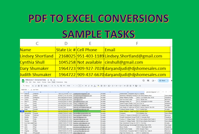 do professional data entry and web research work